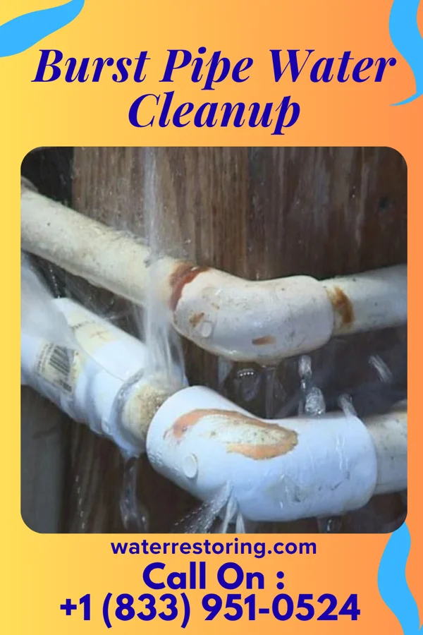 Burst Pipe Water Cleanup in Friars Point, MS