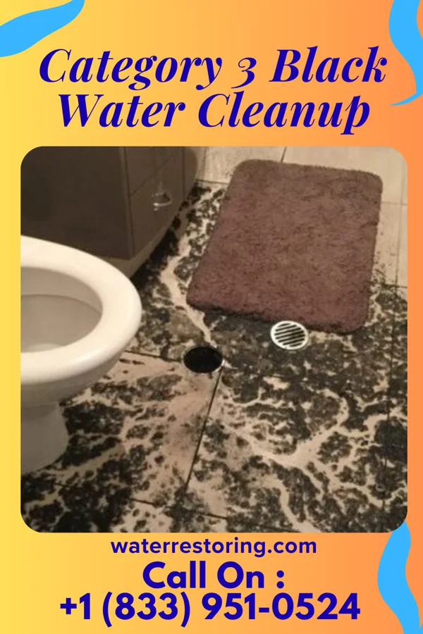 Category 3 Black Water Cleanup in Friars Point, MS