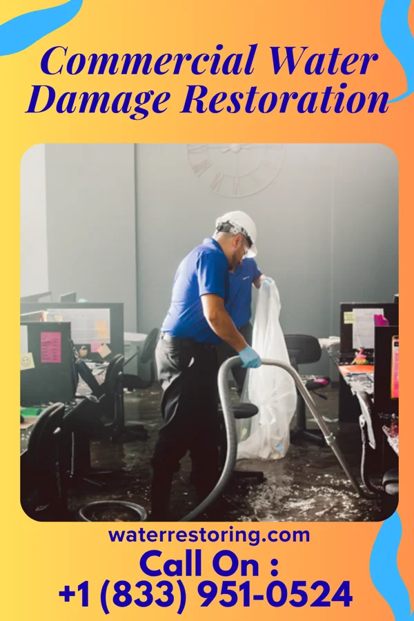 Commercial Water Damage Restoration in Friars Point, MS