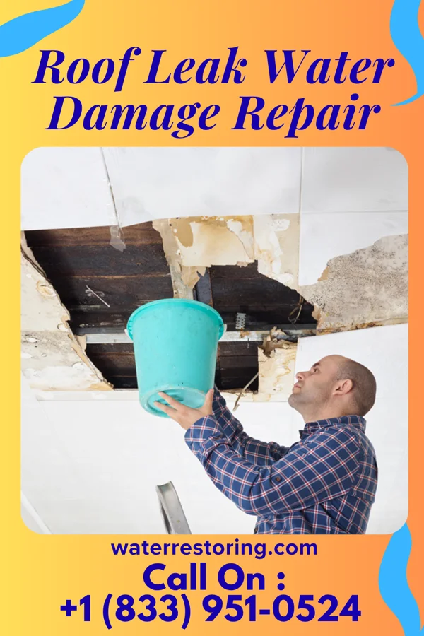 Roof Leak Water Damage Repair in Friars Point, MS