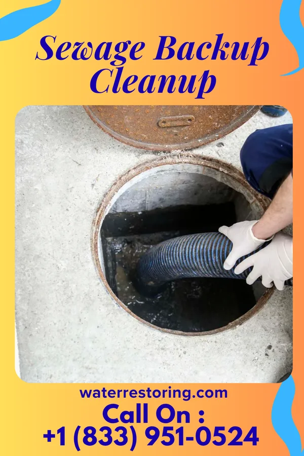 Sewage Backup Cleanup in Friars Point, MS